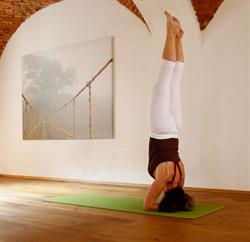 Yogastudio Sonja Hornberger