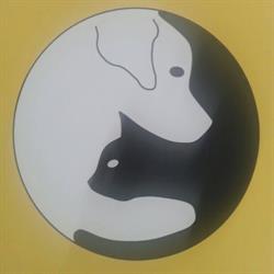 Tierarztpraxis Absam, Dr. Sandra Erler - Dr. Sigrid Vogl