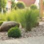 Sieber Gartengestaltung & Gartenpflege