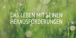 Hos Walfried - Energetiker Puchenau