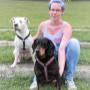 Das Training ist fertig und die Hunde erledigt!