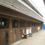 ReitClub Donaustadt - Barbara Zehetgruber