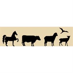 Tierarztpraxis Taxacher