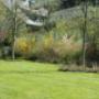 TULA Garten- und Schwimmteichbau GmbH TULA Garten- und Schwimmteichbau GmbH