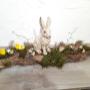 Blumenoase Sandra Wilfinger in Gratkorn Blumenoase Sandra Wilfinger in Gratkorn
