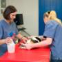 Tiergesundheitszentrum Dres. Schichl in 8101 Gratkorn  - Behandlung