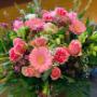 Blumen Schuster in Meidling - Unsere Blumen Blumen Schuster in Meidling - Unsere Blumen