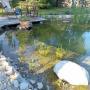 Grabher Martin Ing. Gartengestaltung Grabher Martin Ing. Gartengestaltung