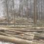 # 13