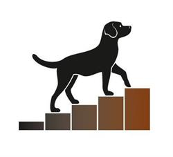 Hundekompetenz Baden