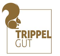 Trippelgut