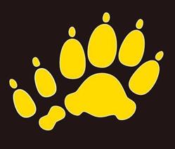 Hundeschule - Haustierberatung - Alina Geishofer