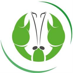 Green Lobster Recording Studios