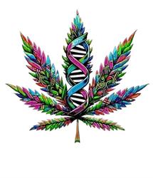 "Wunderland" Growshop, Hanfstecklinge, Hanfpflanzen, Cannabis clones Graz