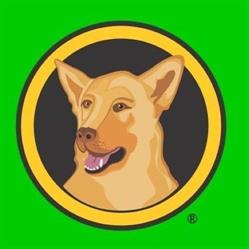 BARF DOG Guido Ruatti