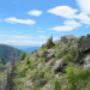 Wilde Natur