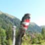 Viele markierte Wanderwege Viele markierte Wanderwege