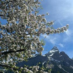 Apart Marienberg