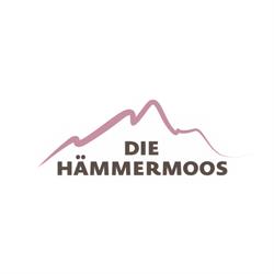 Hämmermoosalm
