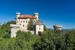 Burg Plankenstein