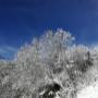 Santnerhof Virgental Tirol, Winter