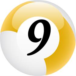 Ninersbillard.com