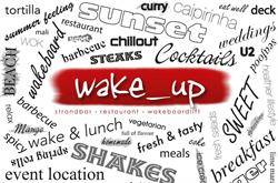wake_up