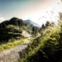 # 4