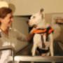 Barker-Benfield Karen Dr - CCRP in 1230 Wien - Behandlung