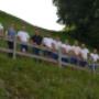 Losbichler Bau GmbH - Team