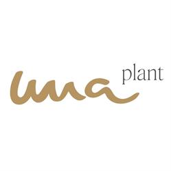 Dipl.-Ing. Ulrike Nachbargauer - una plant