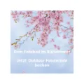 Fotoshooting Einzelportraits Outdoor
