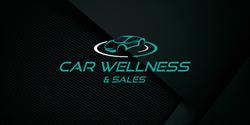 Florian Hauser - Carwellness