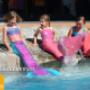 Nixenschwimmen