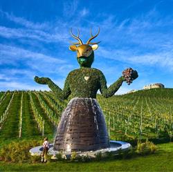 Weingut Taggenbrunn