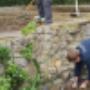 schneider facility service GmbH - Gartenpflege, Gartenbetreuung