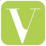 Real Vision Immobilien OG