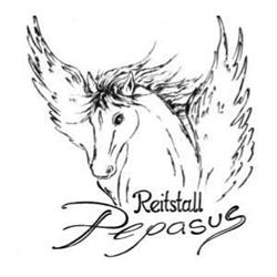 Reitstall Pegasus Gschwent Nina Falkner