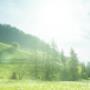 Braito + Teissl Steuerberatung GmbH - Landschaft
