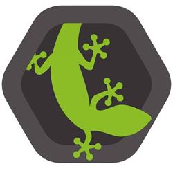 Geckow Events & Multimedia e.U.