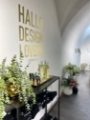 stilleben interior design shop be stilleben feldkirch vorarlberg