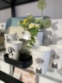 stilleben interior design shop Helen b feldkirch vorarlberg