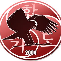 1. HAPKIDO Verein Wiener Neustadt