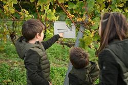 Weingut Magerl