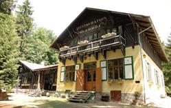 Der Waldhof