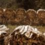 SOLID Holzverbundwerkstoff GmbH 2544 Leobersdorf