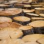 SOLID Holzverbundwerkstoff GmbH 2544 Leobersdorf