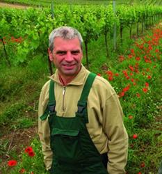 Bio-Vegan-Weingut Josef Salomon