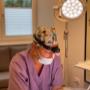 Dr. Barbara Iris Greibl | Plastische und Ästhetische Chirurgie