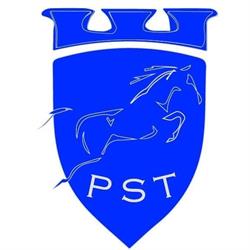 Pferdegut Schloss Treffen